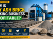 fly ash brick business